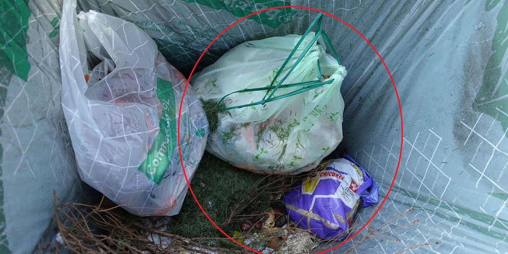 Plastik im Grüngut (eingekreist) muss vermieden werden. Eine Alternative bieten die kompostierbaren Säcke (links). (Bild: zvg)