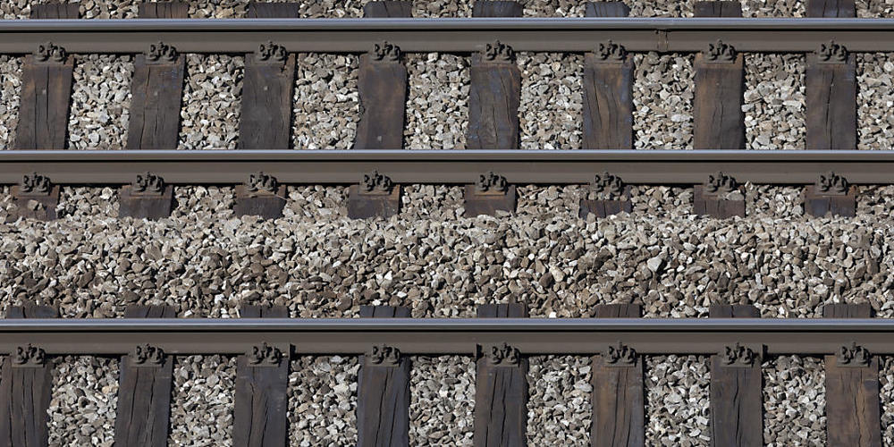 Zwischen Basel und dem süddeutschen Freiburg im Breisgau beeinträchtigte ein umgestürzter Baum den Bahnverkehr.