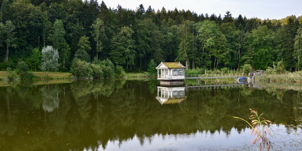 Der Wenigerweiher - ein Bijou in der Stadt St.Gallen. (Bild: Klaus Stadler)