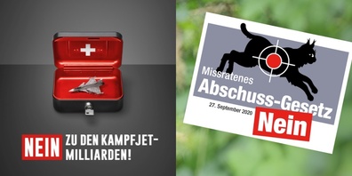 «Abwässer, Abgase,  Dürren und Stürme kann man nicht wegschiessen». Viktor Brunner ist gegen die Anschaffung von Kampfjets, die retten nicht die Welt vor Problemen wie Verschmutzung.