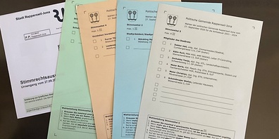 Christoph Künzli schreibt als Rapperswiler darüber, wie er die Projekte empfindet und vor allem über seine Meinung zu den kommenden Stadtratswahlen 2020.
