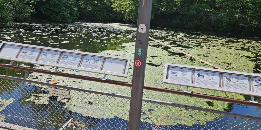 Wann sieht das wieder besser aus?