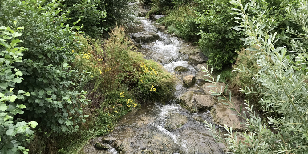 Die GLP fordert einen Stadtbachpark (Symbolbild)