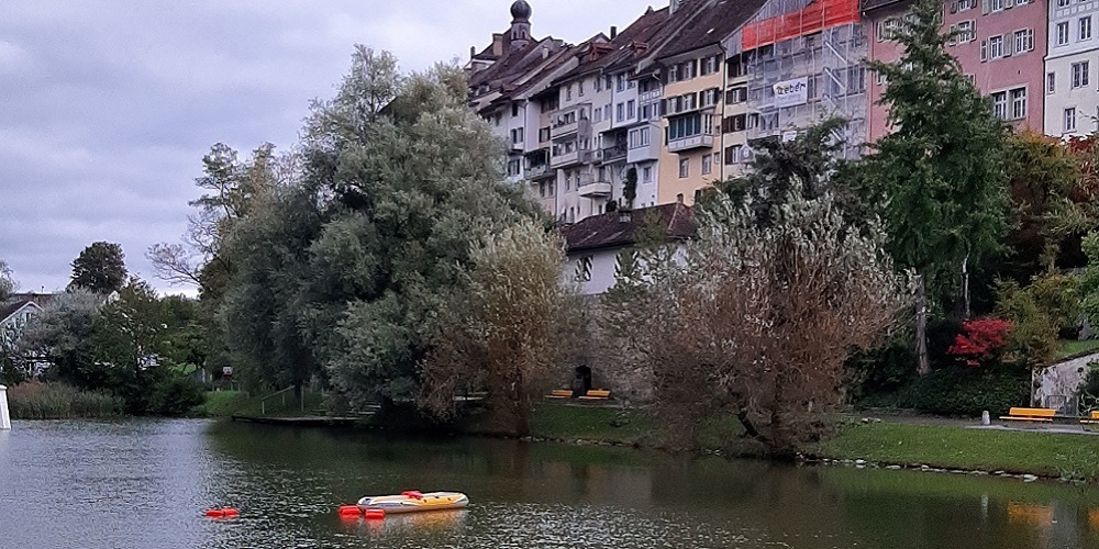 Vogelgrippe-Zonen in der Region Wil werden nach negativen Testergebnissen per 16. Dezember 2025 aufgehoben.
