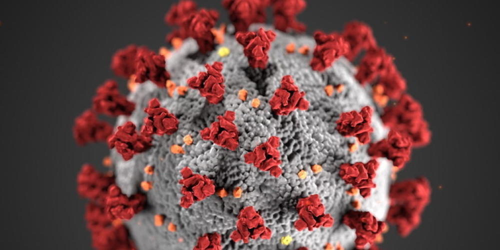 Das Bundesamt für Gesundheit hat am Montag 257 neue Coronavirus-Infizierte innerhalb von 24 Stunden gemeldet. (Archivbild)