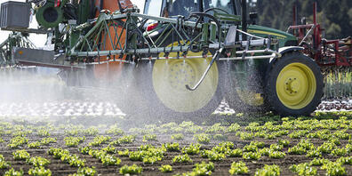 Der Ständerat will den Einsatz von Pestiziden vermindern und hat dazu eine eigene Gesetzesvorlage verabschiedet. (Themenbild)