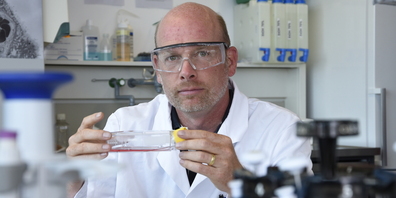 Peter Wick, Leiter des Empa-Labors. (Bild: Empa)