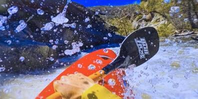 Für die Billboards entlang der Bregenzer Seestrasse wählte Peter Fischli Filmstills seines Videos, das im Rahmen der Ausstellung im Kunsthaus Bregenz zu sehen ist.