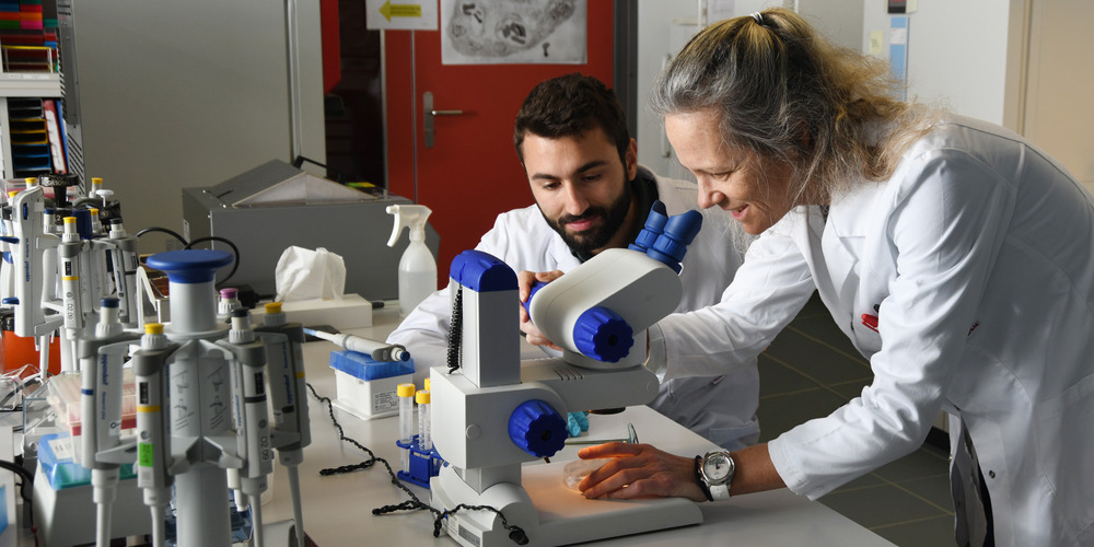 Die Empa-Forscher Nikolaos Tagaras und Tina Bürki arbeiten an umfassenden Sicherheitsstudien zu den neu entwickelten Nanozymen.