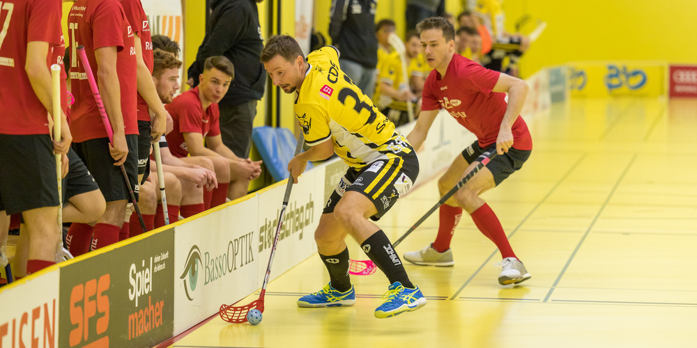 Rassig, schnell und trickreich - die Gators Rheintal starteten erfolgreich in die Saison (Symbolbild: zVg)