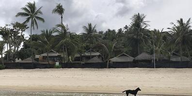 Die thailändische Regierung will wieder erste Touristen in das Land einreisen lassen. (Archiv)