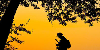 Beim Jagdgesetz mit dem erleichterten Abschuss von Wolf, Biber und Co. ist die Abstimmungs-Tendenz schwierig.