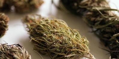 Die Polizei stellte im Haus des verurteilten Hanfbauers 24 Kilo Marihuana sicher. (Symbolbild)