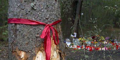 Bei einem Autounfall in norddeutschen Landkreis Cloppenburg sind am Freitagabend sechs Kinder schwer verletzt worden. Eine Mutter starb, als sie mit ihrem Auto in einen Baum fuhr. (Symbolbild)