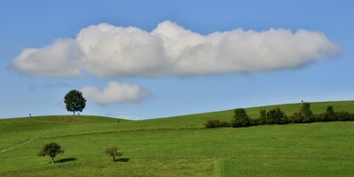 In Wattwil: Alzheimer St. Gallen/beider Appenzell präsentiert zusammen mit dem Netzwerk Demenz Toggenburg den Dokumentarfilm «Blauer Himmel Weisse Wolken» 