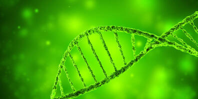 Illustration eines DNA-Strangs: Neandertaler-Gene könnten einer Studie zufolge verantwortlich für einen schweren Krankheitsverlauf bei einer Covid-19-Infektion sein.