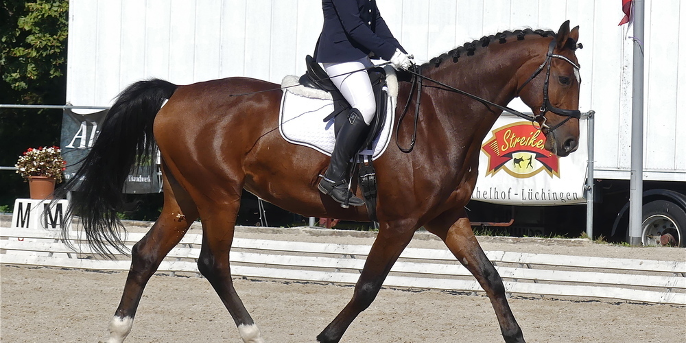 Die anspruchsvollsten Prüfungen stehen schon am Freitag am Programm (Bild: Ulrike Huber)