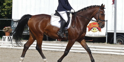Die anspruchsvollsten Prüfungen stehen schon am Freitag am Programm (Bild: Ulrike Huber)