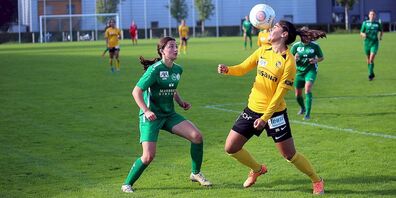 (Bild: Podo Gessner)