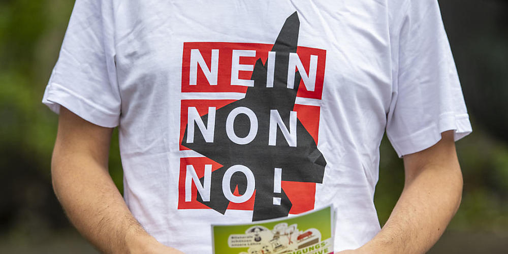 Frauen hätten die neuen Kampfjets an der Urne abstürzen lassen. Das hat eine Nachbefragung ergeben. (Symbolbild)