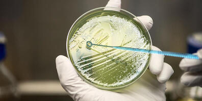 Betrifft auch die Schweiz: Die EU-Wissenschaftsminister diskutieren am Dienstag in Brüssel über die neuen Assoziierungsregeln für Drittstaaten an das EU-Forschungsprogramm Horizon Europe (2021-2027).