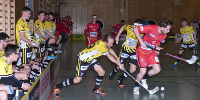 Die Gators zeigten eine gute spielerische Leistung (Bild: Archiv uh)