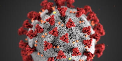 Das Bundesamt für Gesundheit hat am Dienstag 225 neue Coronavirus-Infizierte innerhalb von 24 Stunden gemeldet.