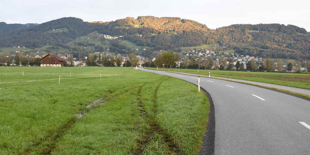 Der unbekannt Verunfallte ist weitergefahren (Bild: kapo.sg.ch)