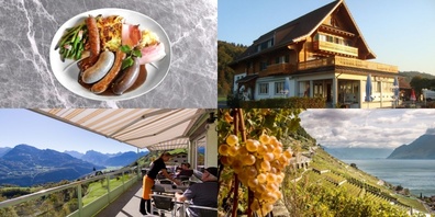 Der Herbst ist da, das Wild steht auf der Karte. Hansjörg Dietiker listet einige Restaurants auf, in welchen das Wild besonders gut schmeckt.