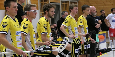 Die Rheintal Gators freuen sich schon auf den Heimmatch am Sonntag