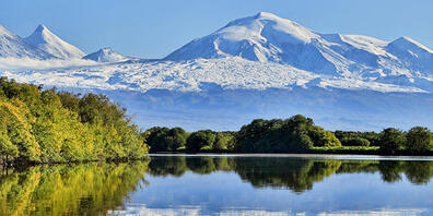 Die russische Halbinsel Kamtschatka mit ihren vielen Vulkanen ist ein beliebtes Reiseziel. Umso schockierender ist das Massensterben von Meerestieren vor der Küste. Ein Experte gibt nun Entwarnung: Eine toxische Alge sei schuld, die Natur werde si...