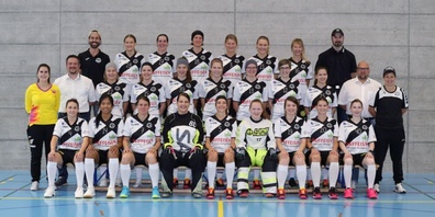 Team Sharks