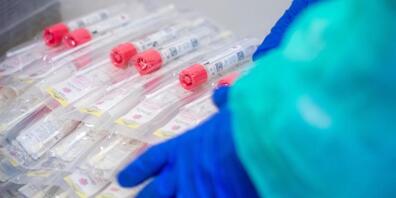 ARCHIV - Ein Mitarbeiter des Gesundheitswesens legt Testsets mit Abstrichstäbchen ab. Foto: Jens Büttner/dpa-Zentralbild/dpa/Symbolbild