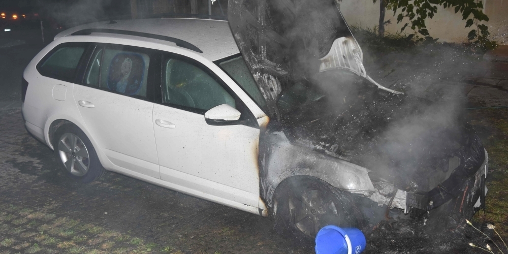 Das Auto auf einem Parkplatz in der Hegnerstrasse geriet wohl wegen eines technischen Defekts in Brand.