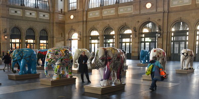 Noch bis am 21. Oktober dauert die Ausstellung im Hauptbahnhof Zürich