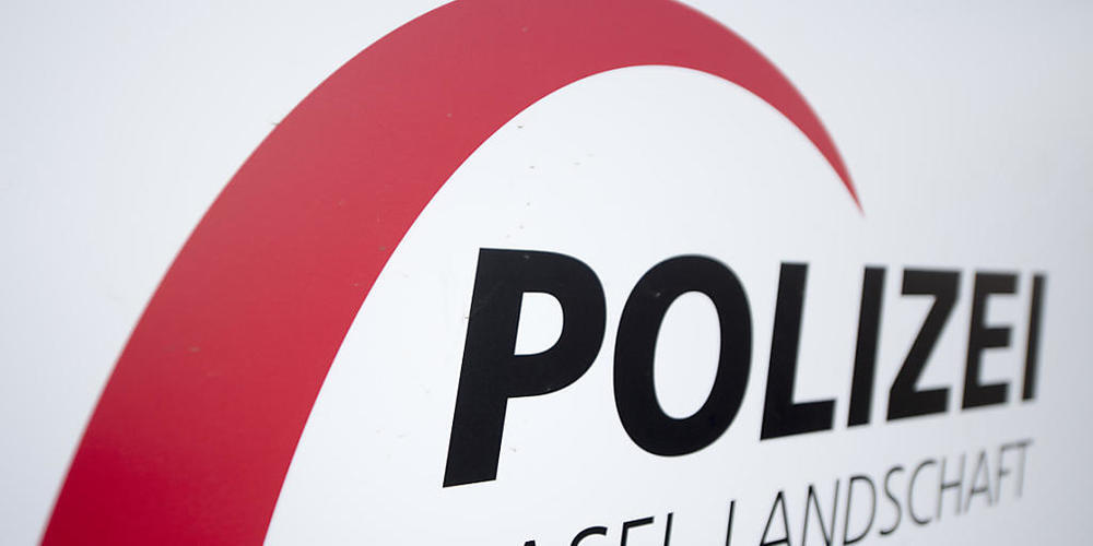 Eine Patrouille der Kantonspolizei Baselland hat am Samstagabend in Reinach zwei Jugendliche dingfest gemacht, die mit einem mutmasslich gestohlenen Lieferwagen Fahrerflucht begangen haben. (Archivbild)