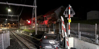 Auf den Bahngeleisen von Palézieux-Gare VD endete die Flucht des 19-Jährigen.