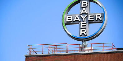 Bayer stärkt Geschäft mit Zelltherapien durch Milliardenübernahme. (Archiv)