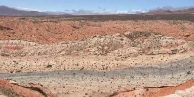 Einst Sumpfboden, heute Halbwüste: Siderite aus dieser Fundstelle in Argentinien gewähren einen Blick ins Klima der Vergangenheit.