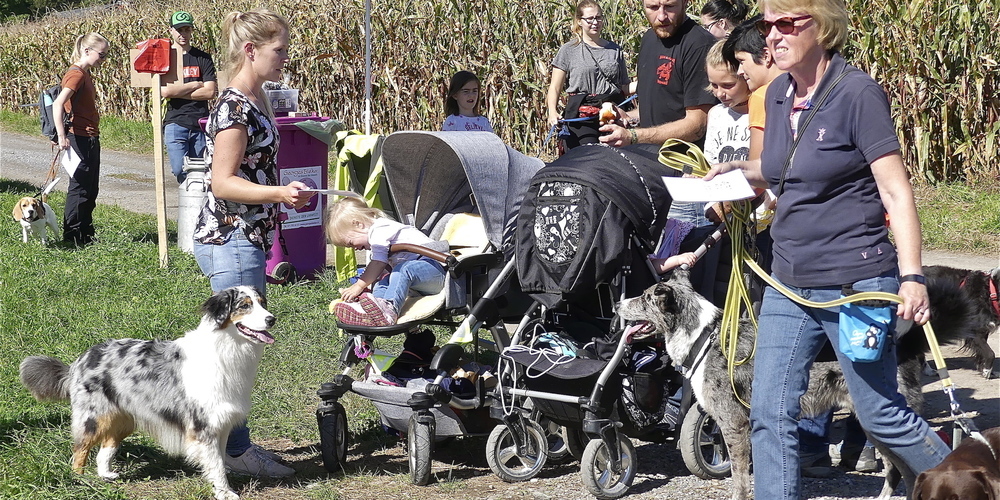 Nur noch mit Leine darf Bello beim Familienausflug im Gebiet Forst-Rebhalde dabeisein (Bild: Archiv Ulrike Huber)