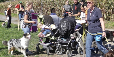 Nur noch mit Leine darf Bello beim Familienausflug im Gebiet Forst-Rebhalde dabeisein (Bild: Archiv Ulrike Huber)