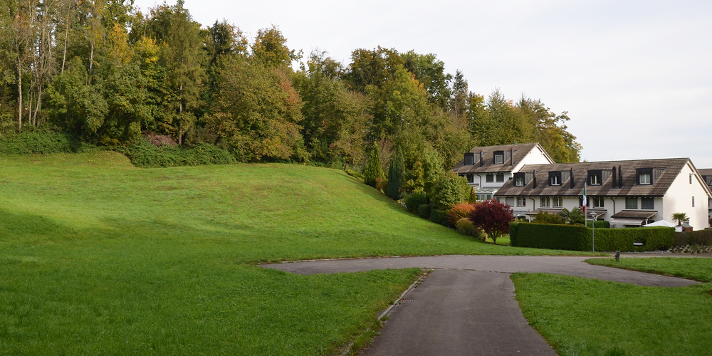 Diese grüne Wiese am Ende des Waldisbergwegs in Freienbach befindet sich in der Wohnzone. Gebaut werden soll darauf preisgünstiger Wohnraum, einen Zeitplan für dessen Erstellung gibt es aber noch nicht. (Bild: Patrizia Baumgartner)