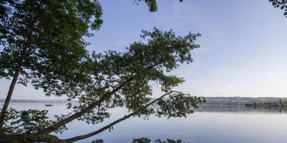 Der Kanton Luzern will die Phosphorkonzentration im Sempachersee mit einem neuen Projekt weiter verringern.