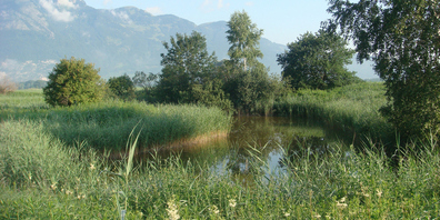 Mit dem vorgeschlagenen «Entlastungspaket 2027» will der Bundesrat den Schutz und die Wiederherstellung der Biotope inkl. der Moore weiter schwächen.
