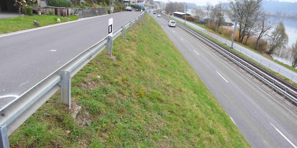 Beim Unfall stürzte der Motorradfahrer über die Leitplanke der Neuen Eschenbacherstrasse und rutschte übers Wiesenbord auf die Zürcherstrasse.