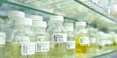 Givaudan will mit dem Biotechunternehmen Novozymes neue nachhaltige Inhaltsstoffe entwickeln. (Bild Givaudan)