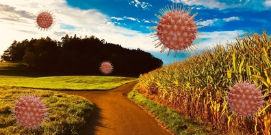 «Frische Luft ist wichtig für unsere Gesundheit! Überhaupt, was haben Masken gebracht?» Diese und weitere Überlegungen legt Bernadette Gerber in einem Leserbrief dar.