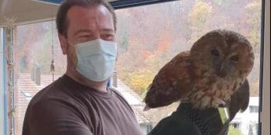 Ein Feuerwehrmann hat den Waldkauz aus seiner misslichen Lage im Cheminée eines Mehrfamilienhauses befreit. (Bild: Feuerwehr Brugg AG)