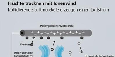 Dörren ist eine alte Methode, um Früchte und Gemüse für den Winter haltbar zu machen. Früher tat man das mit Hitze, dann mit Ventilatoren und bald nach Vorstellung der Empa mit Ionenwinden - was unter anderem mehr als die Hälfte Strom spart. (zVg)