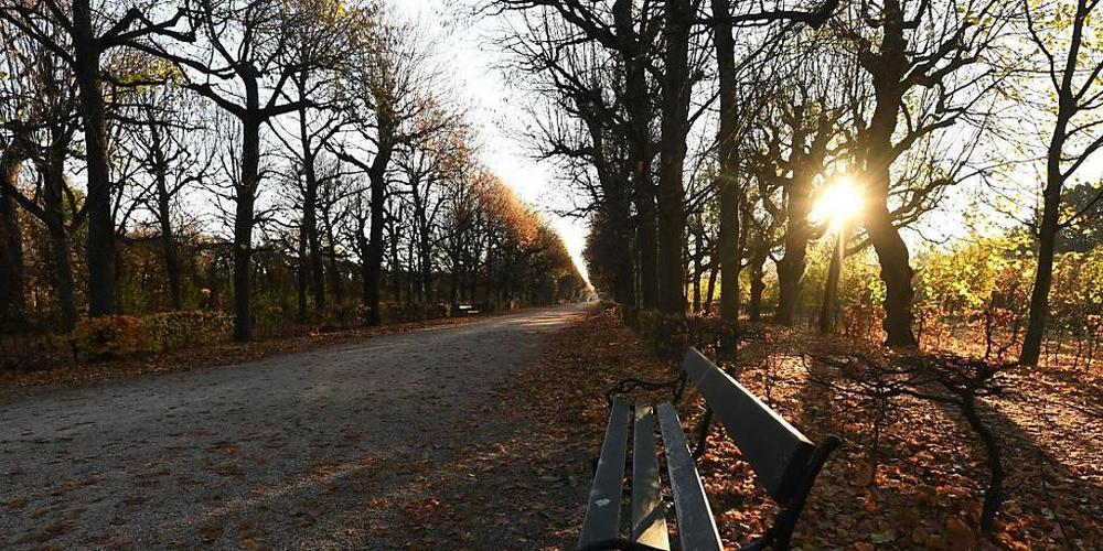 Die Sonne scheint durch die Bäume im Schönbrunner Schlosspark.  Österreich ist wegen der zuletzt explodierenden Corona-Infektionszahlen bis zum 6. Dezember erneut in einen Lockdown gegangen. Foto: Helmut Fohringer/APA/dpa